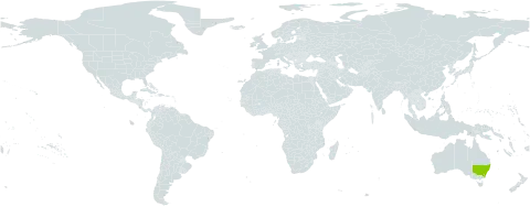 Macrozamia stenomera world distribution map, present in Australia