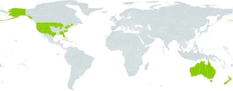 Madia world distribution map, present in Australia, New Zealand, and United States of America