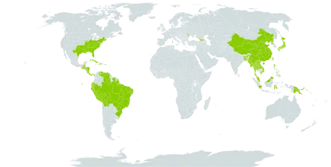Magnolia world distribution map, present in Åland Islands, Andorra, Bangladesh, Belize, Bolivia (Plurinational State of), Brazil, China, Costa Rica, Cuba, Dominica, Ecuador, Georgia, Guatemala, Honduras, Haiti, Indonesia, India, Iceland, Japan, Lao People's Democratic Republic, Sri Lanka, Moldova (Republic of), Myanmar, Mauritius, Malaysia, Nicaragua, Nepal, Panama, Peru, Philippines, Papua New Guinea, Puerto Rico, Korea (Democratic People's Republic of), Réunion, Suriname, Thailand, Taiwan, Province of China, United States of America, Venezuela (Bolivarian Republic of), and Viet Nam
