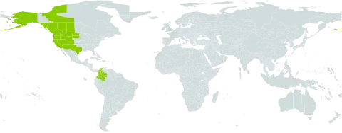 Maianthemum racemosum subsp. amplexicaule world distribution map, present in Canada, Colombia, and United States of America