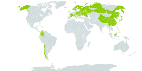 Malaxis monophyllos world distribution map, present in Austria, Belarus, Switzerland, Chile, China, Colombia, Czech Republic, Finland, France, Micronesia (Federated States of), Hungary, Italy, Japan, Montenegro, Malaysia, Norway, Nepal, Philippines, Poland, Korea (Democratic People's Republic of), Romania, Russian Federation, Sweden, Taiwan, Province of China, Ukraine, and United States of America