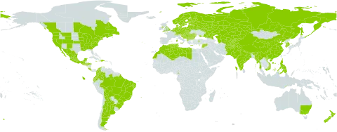 Malus domestica world distribution map, present in Afghanistan, Albania, Argentina, Australia, Austria, Belgium, Bulgaria, Bosnia and Herzegovina, Belarus, Bolivia (Plurinational State of), Brazil, Bhutan, Canada, Switzerland, China, Cameroon, Colombia, Costa Rica, Cyprus, Czech Republic, Germany, Denmark, Dominican Republic, Algeria, Ecuador, Spain, Estonia, Finland, France, United Kingdom of Great Britain and Northern Ireland, Greece, Guatemala, Honduras, Croatia, Haiti, Hungary, India, Italy, Jamaica, Kazakhstan, Kyrgyzstan, Korea (Republic of), Lebanon, Libya, Liechtenstein, Lithuania, Latvia, Morocco, Moldova (Republic of), Mexico, North Macedonia, Myanmar, Montenegro, Niue, Netherlands, Norway, Nepal, New Zealand, Pakistan, Philippines, Poland, Portugal, Romania, Russian Federation, Saint Pierre and Miquelon, Serbia, Sao Tome and Principe, Slovakia, Slovenia, Sweden, Syrian Arab Republic, Tajikistan, Turkmenistan, Timor-Leste, Tunisia, Turkey, Ukraine, United States of America, Uzbekistan, and Viet Nam