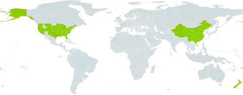 Malus world distribution map, present in China, New Zealand, and United States of America