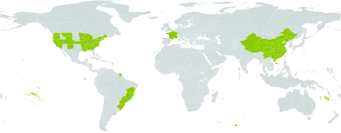 Malus pumila world distribution map, present in Brazil, China, France, and United States of America