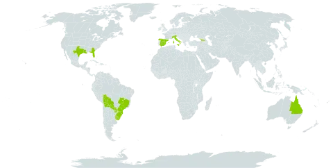 Manihot grahamii world distribution map, present in Åland Islands, Australia, Bolivia (Plurinational State of), Brazil, Spain, Georgia, Italy, Paraguay, Uruguay, and United States of America
