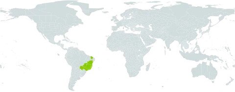 Maranta leuconeura world distribution map, present in Brazil