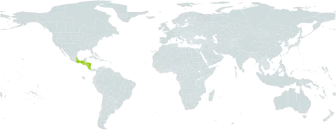 Marcgravia mexicana world distribution map, present in Costa Rica, Guatemala, Honduras, Mexico, and Nicaragua