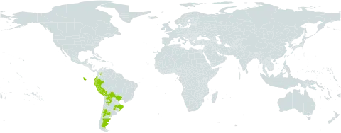 Margyricarpus pinnatus world distribution map, present in Argentina, Bolivia (Plurinational State of), Brazil, Chile, Colombia, Ecuador, Peru, and Uruguay