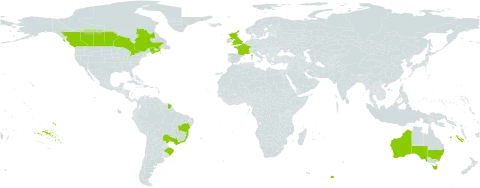 Matricaria chamomilla world distribution map, present in Australia, Brazil, Canada, France, and United Kingdom of Great Britain and Northern Ireland