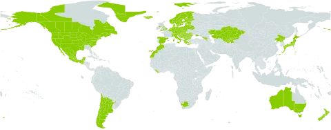 Matricaria discoidea world distribution map, present in Argentina, Armenia, Australia, Austria, Belgium, Bulgaria, Bosnia and Herzegovina, Belarus, Canada, Switzerland, Chile, China, Czech Republic, Germany, Denmark, Spain, Estonia, Finland, France, United Kingdom of Great Britain and Northern Ireland, Georgia, Guadeloupe, Greece, Greenland, Guatemala, Croatia, Hungary, Iceland, Italy, Japan, Kazakhstan, Kyrgyzstan, Liberia, Liechtenstein, Lithuania, Luxembourg, Latvia, Morocco, Moldova (Republic of), Mexico, North Macedonia, Montenegro, Netherlands, Norway, New Zealand, Poland, Korea (Democratic People's Republic of), Portugal, Romania, Russian Federation, South Georgia and the South Sandwich Islands, Saint Pierre and Miquelon, Serbia, Slovakia, Slovenia, Sweden, Tajikistan, Ukraine, United States of America, Uzbekistan, and South Africa