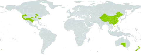 Matthiola world distribution map, present in Australia, China, New Zealand, and United States of America