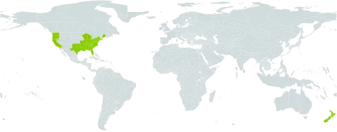 Mazus world distribution map, present in New Zealand and United States of America