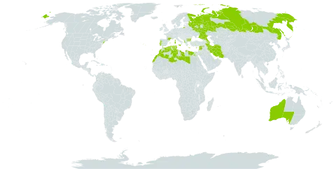 Medicago littoralis world distribution map, present in Albania, Australia, Azerbaijan, Bulgaria, Cyprus, Algeria, Egypt, Spain, France, Gibraltar, Greece, Iran (Islamic Republic of), Israel, Italy, Lebanon, Libya, Morocco, Malta, Portugal, Russian Federation, Syrian Arab Republic, Tunisia, and United States of America