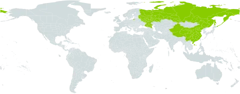 Medicago ruthenica world distribution map, present in China and Russian Federation