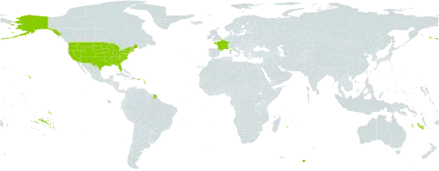 Medicago secundiflora world distribution map, present in France and United States of America