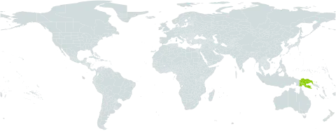 Medinilla forbesii world distribution map, present in Papua New Guinea
