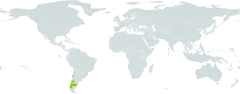 Megalastrum spectabile world distribution map, present in Argentina, Chile, and Uruguay