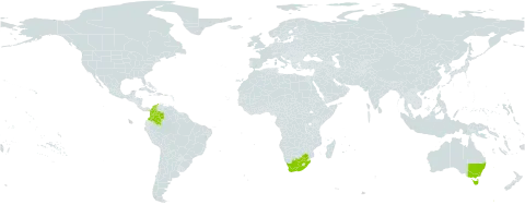 Melaleuca armillaris subsp. armillaris world distribution map, present in Australia, Colombia, and South Africa