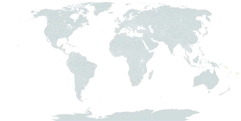 Melastoma denticulatum world distribution map, present in American Samoa, Cook Islands, Fiji, Solomon Islands, Tonga, Vanuatu, and Samoa