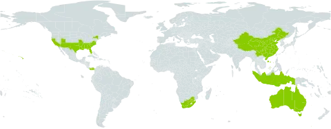 Melia world distribution map, present in Australia, China, Indonesia, Panama, United States of America, and South Africa