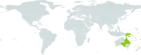 Melicope rubra world distribution map, present in Australia and Papua New Guinea