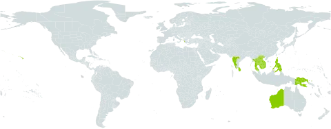 Melochia umbellata world distribution map, present in Australia, Greece, Indonesia, India, Cambodia, Lao People's Democratic Republic, Sri Lanka, Myanmar, Philippines, Papua New Guinea, Thailand, United States of America, and Viet Nam