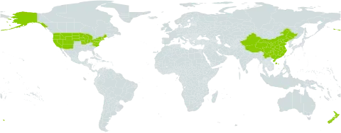 Menyanthes world distribution map, present in China, New Zealand, and United States of America