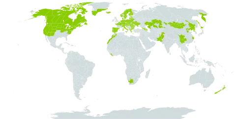 Menyanthes trifoliata world distribution map, present in Afghanistan, Albania, Andorra, Armenia, Austria, Azerbaijan, Belgium, Bulgaria, Bosnia and Herzegovina, Belarus, Canada, Switzerland, China, Czech Republic, Germany, Denmark, Spain, Estonia, Finland, France, United Kingdom of Great Britain and Northern Ireland, Georgia, Greece, Greenland, Croatia, Hungary, India, Iceland, Italy, Japan, Kazakhstan, Liberia, Liechtenstein, Lithuania, Luxembourg, Latvia, Morocco, North Macedonia, Montenegro, Mongolia, Netherlands, Norway, Nepal, New Zealand, Pakistan, Poland, Korea (Democratic People's Republic of), Portugal, Romania, Russian Federation, Saint Pierre and Miquelon, Serbia, Slovakia, Slovenia, Sweden, Ukraine, United States of America, and South Africa