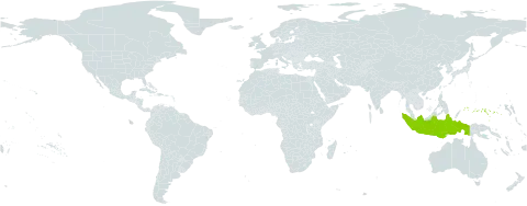 Merrilliodendron world distribution map, present in Micronesia (Federated States of), Indonesia, and United States of America