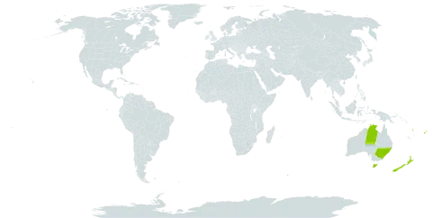 Meryta world distribution map, present in Australia, Cook Islands, Fiji, Norfolk Island, New Zealand, Pitcairn, Tonga, United States of America, Vanuatu, Wallis and Futuna, and Samoa