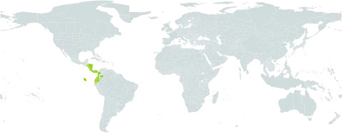 Miconia magnifolia world distribution map, present in Colombia, Costa Rica, Ecuador, Honduras, Nicaragua, and Panama