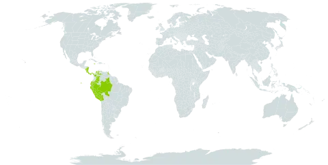 Miconia multispicata world distribution map, present in Bolivia (Plurinational State of), Brazil, Colombia, Costa Rica, Ecuador, Jamaica, Nicaragua, Panama, Peru, Trinidad and Tobago, and Venezuela (Bolivarian Republic of)