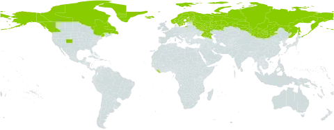 Micranthes foliolosa world distribution map, present in Canada, Finland, Greenland, Iceland, Liberia, Mongolia, Norway, Russian Federation, Sweden, and United States of America