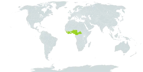 Microcos malacocarpa world distribution map, present in Benin, Central African Republic, Côte d'Ivoire, Cameroon, Ghana, Guinea, Equatorial Guinea, Liberia, Nigeria, Sierra Leone, Sao Tome and Principe, and Togo