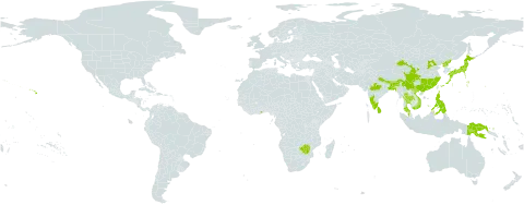 Microlepia strigosa world distribution map, present in Bangladesh, Bhutan, China, Ghana, Indonesia, India, Japan, Sri Lanka, Myanmar, Malaysia, Nepal, Philippines, Papua New Guinea, Korea (Democratic People's Republic of), Thailand, United States of America, Viet Nam, and Zimbabwe