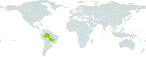 Micropterygium lechleri world distribution map, present in Brazil