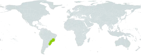 Mikania chlorolepis world distribution map, present in Argentina, Brazil, and Paraguay