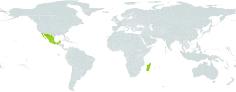Mimosa galeottii world distribution map, present in Madagascar, Mexico, and Mauritius