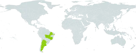 Mimosa hirsutissima var. barbigera world distribution map, present in Argentina and Brazil