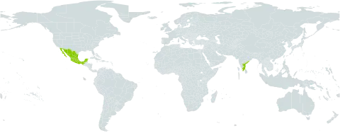Mimosa polyancistra world distribution map, present in India and Mexico
