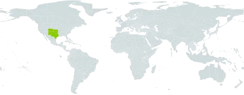 Mimosa quadrivalvis var. occidentalis world distribution map, present in United States of America