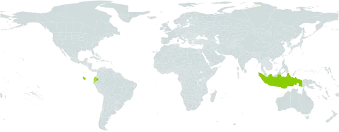 Mimosa quitensis world distribution map, present in Ecuador and Indonesia
