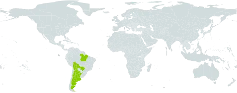 Mimosa sensibilis world distribution map, present in Argentina, Bolivia (Plurinational State of), and Brazil