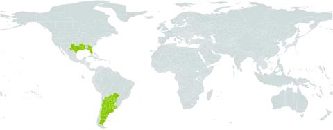 Mimosa strigillosa world distribution map, present in Argentina, Brazil, Paraguay, Uruguay, and United States of America