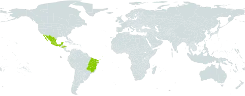 Mimosa ursina world distribution map, present in Brazil, Honduras, Mexico, and El Salvador