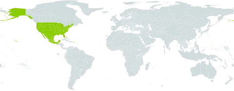 Mimosa wootonii world distribution map, present in Mexico and United States of America
