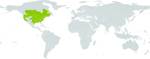 Mimulus ringens world distribution map, present in Canada and United States of America