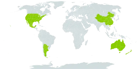 Mirabilis world distribution map, present in Argentina, American Samoa, Australia, China, Mexico, New Zealand, and United States of America