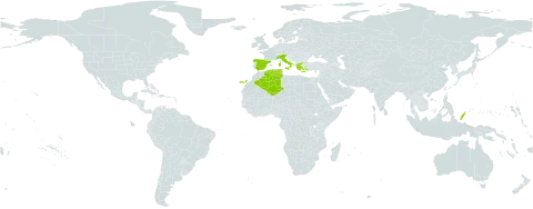 Moluccella spinosa world distribution map, present in Cyprus, Algeria, Spain, Greece, Italy, Palau, Turks and Caicos Islands, and Tunisia