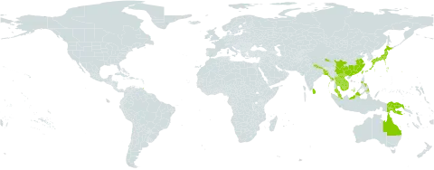 Momordica cochinchinensis world distribution map, present in Australia, Bangladesh, China, Indonesia, India, Japan, Cambodia, Lao People's Democratic Republic, Sri Lanka, Myanmar, Malaysia, Nepal, Philippines, Papua New Guinea, Singapore, Thailand, Trinidad and Tobago, Taiwan, Province of China, and Viet Nam